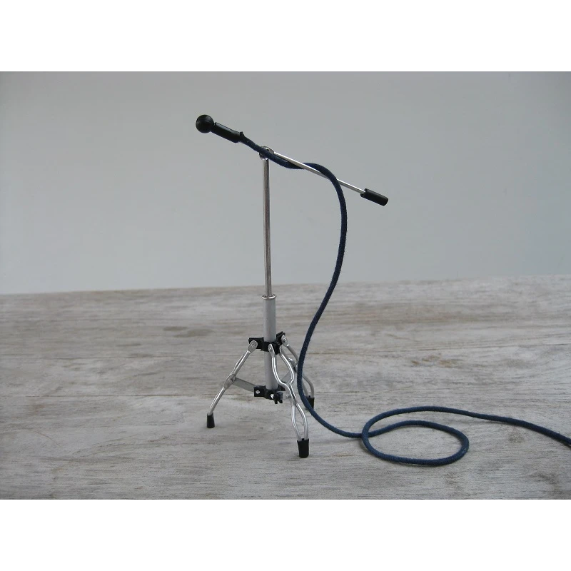 Microphone on boomstand (metal extendable)