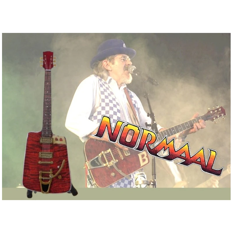 Guitar Bennie Jolink - Normal - RARE!!!