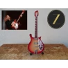 Gitaar Rickenbacker 660/12 TP o.a. Tom Petty ZELDZAAM